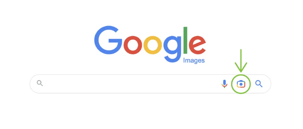 Screenshot of Google's image search page with an arrow pointing to a camera icon.